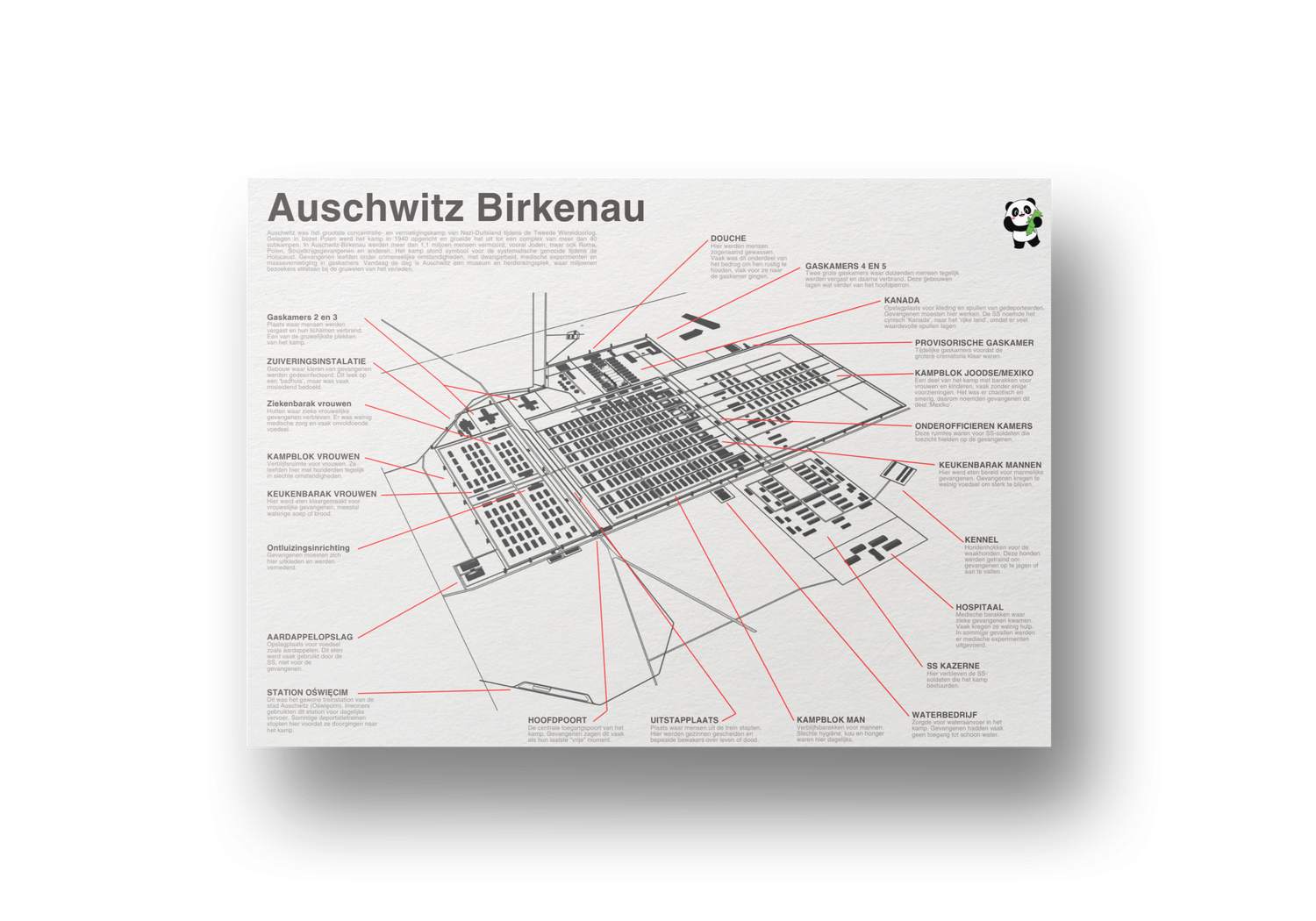 Educatieve poster van Auschwitz Birkenau met duidelijke plattegrond en aanduiding van belangrijke locaties, geschikt voor geschiedenislessen en herdenking