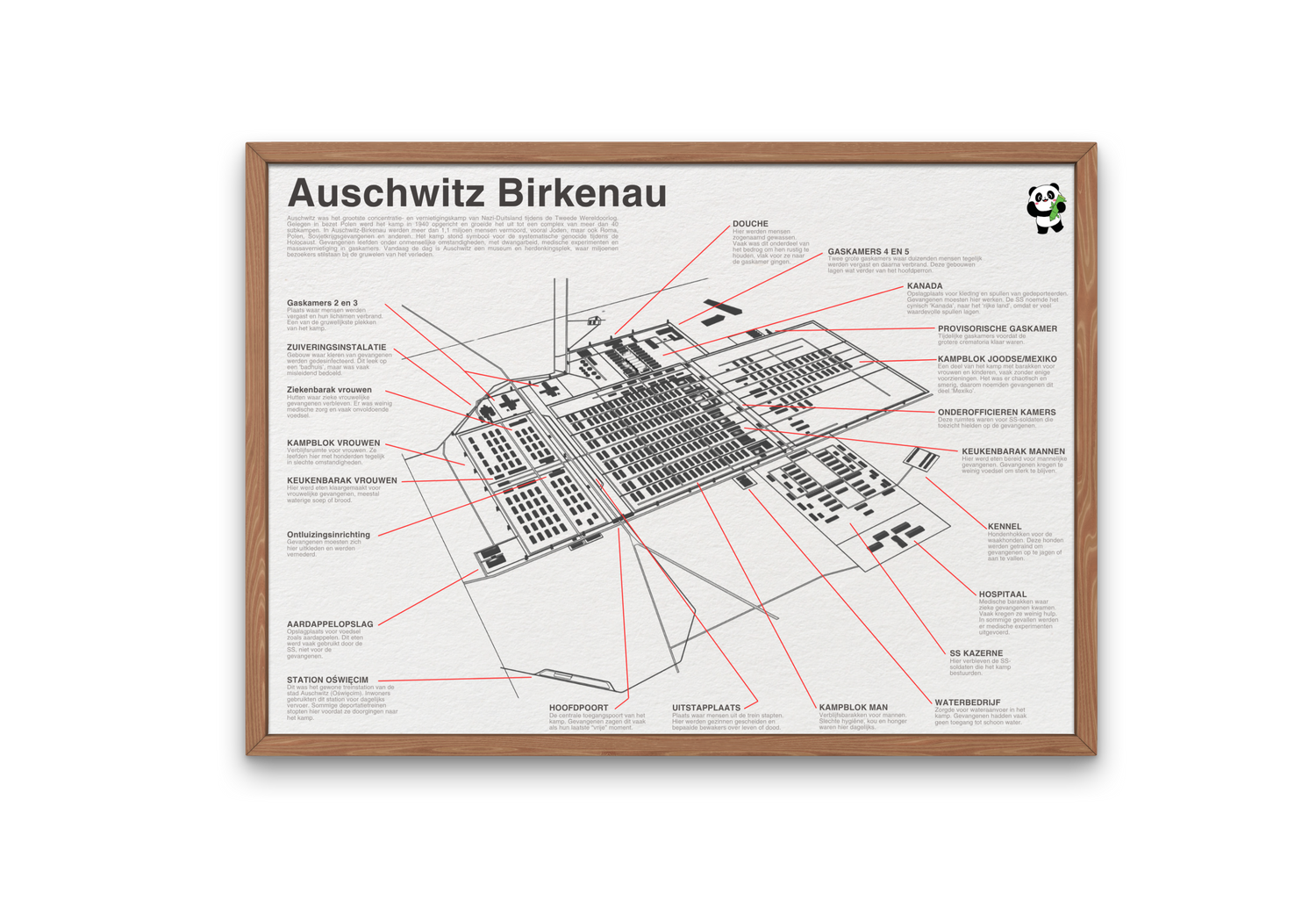 Educatieve poster van Auschwitz Birkenau met gedetailleerde plattegrond in een houten lijst, ideaal voor geschiedenislessen en herdenkingsdoeleinden