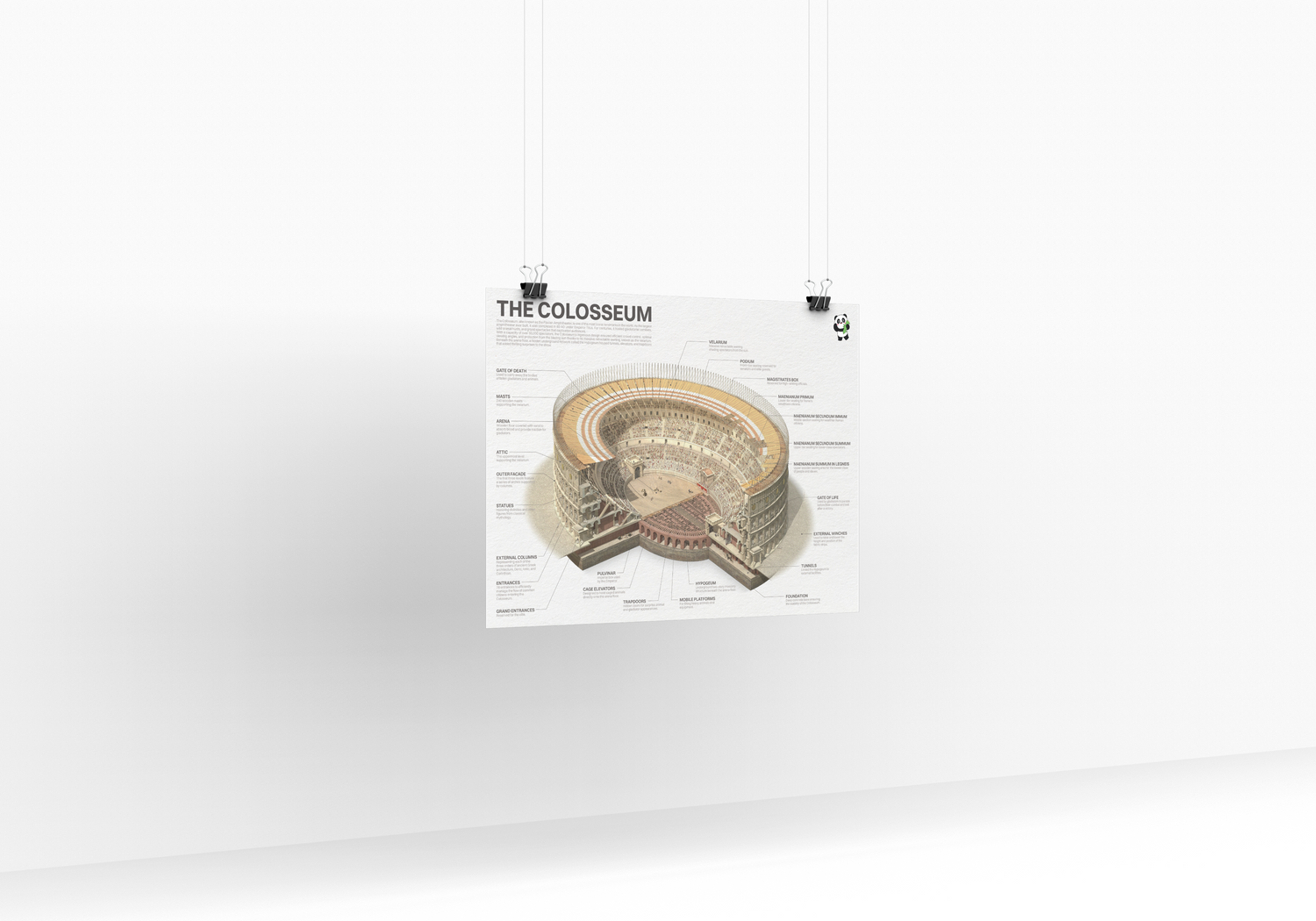 Educatieve Colosseum poster met gedetailleerde doorsnede en aanduidingen van het Romeinse amfitheater, ideaal voor geschiedenislessen en decoratie