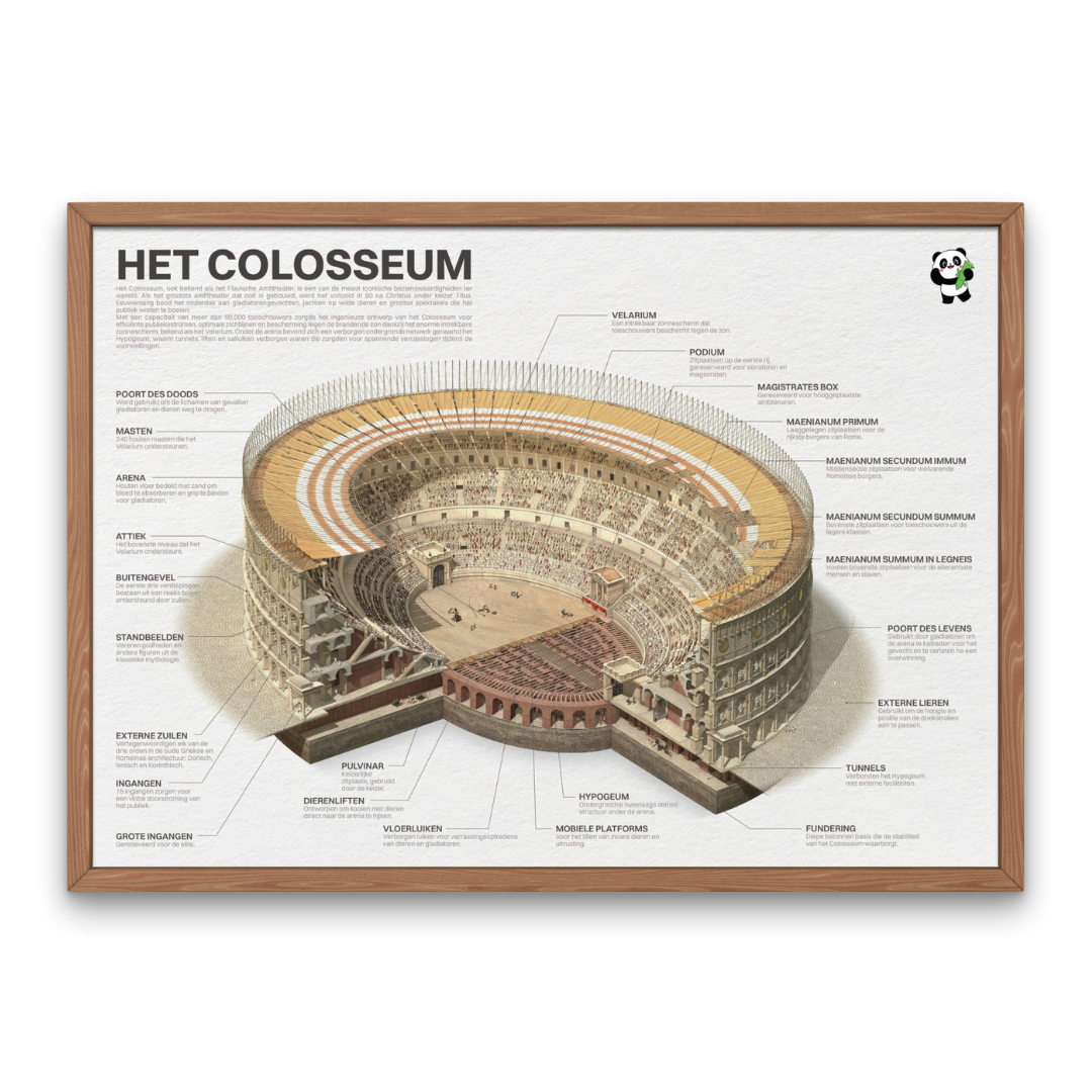 Educatieve Colosseum poster in houten lijst met gedetailleerde doorsnede van het Romeinse amfitheater, ideaal als wanddecoratie en leermiddel