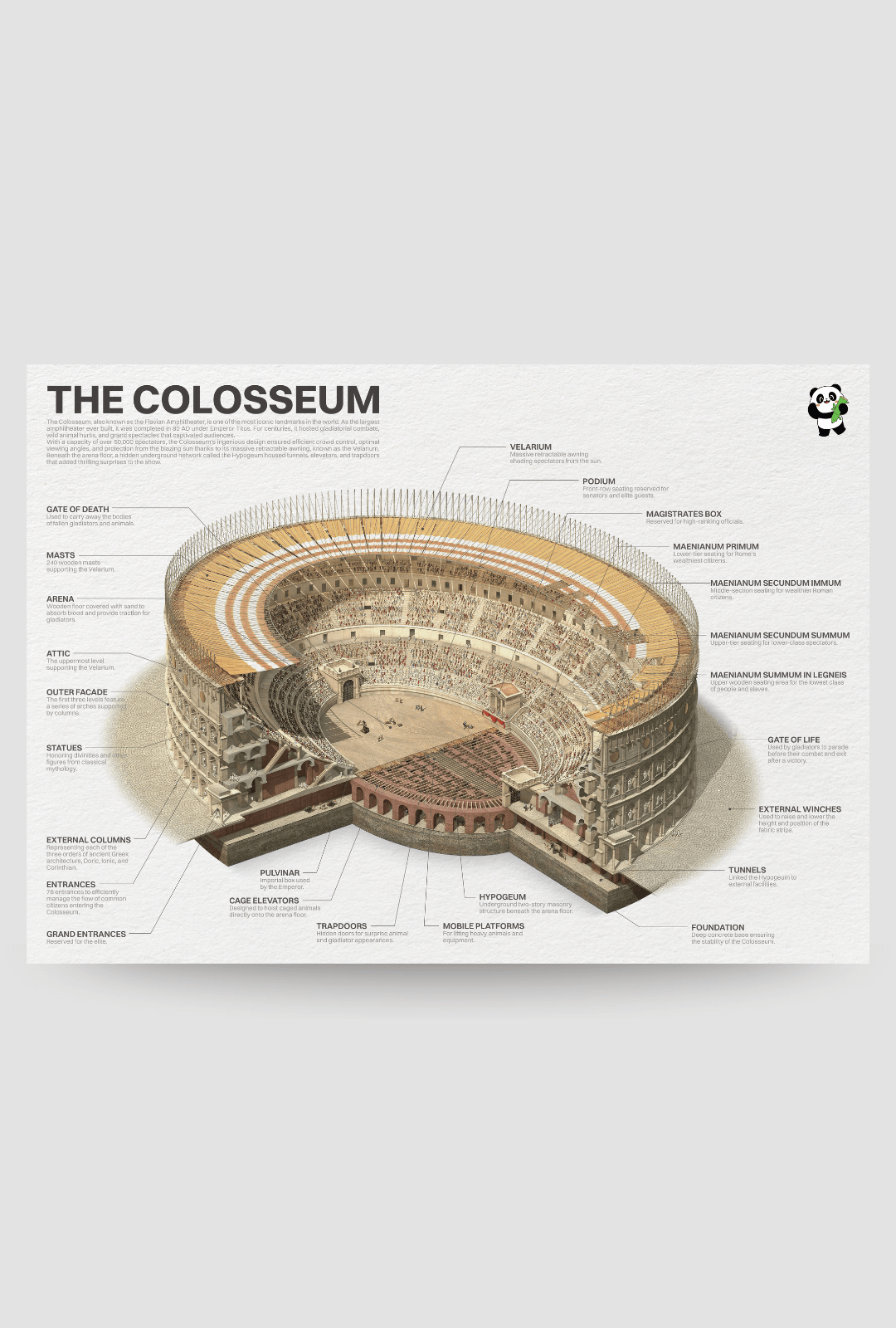 Het Colosseum Poster