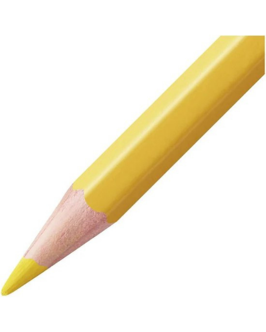 STABILO Aquacolor potloden 24 kleuren