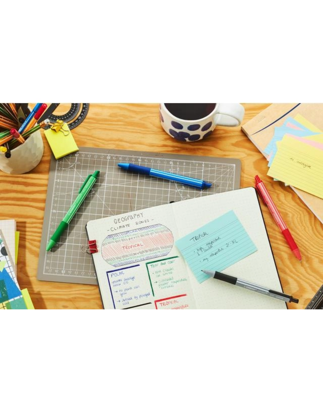 STABILO pointball colorful pen blauw - 1 stuk - Academia Now - Schoolspullen voor de middelbare school, schoolplanner, agenda, notitieboek, flashcards, Stabilo- en Oxford schoolspullen voor beter plannen en leren - Hard Work Beats Talent