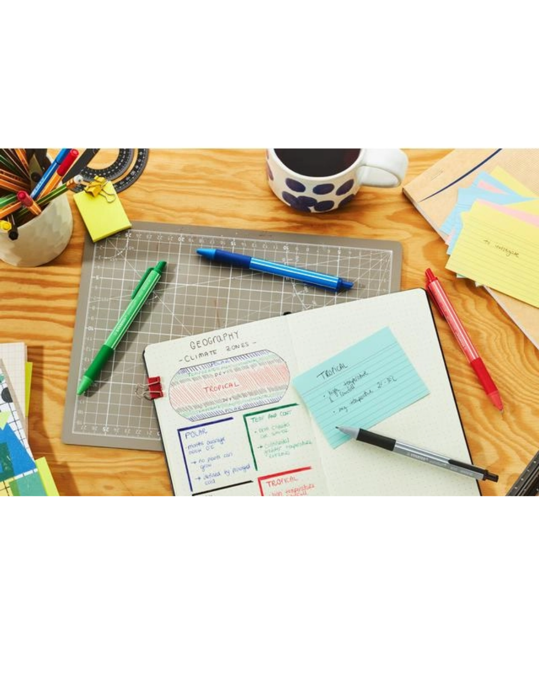 STABILO pointball colorful pen zwart - 1 stuk - Academia Now - Schoolspullen voor de middelbare school, schoolplanner, agenda, notitieboek, flashcards, Stabilo- en Oxford schoolspullen voor beter plannen en leren - Hard Work Beats Talent