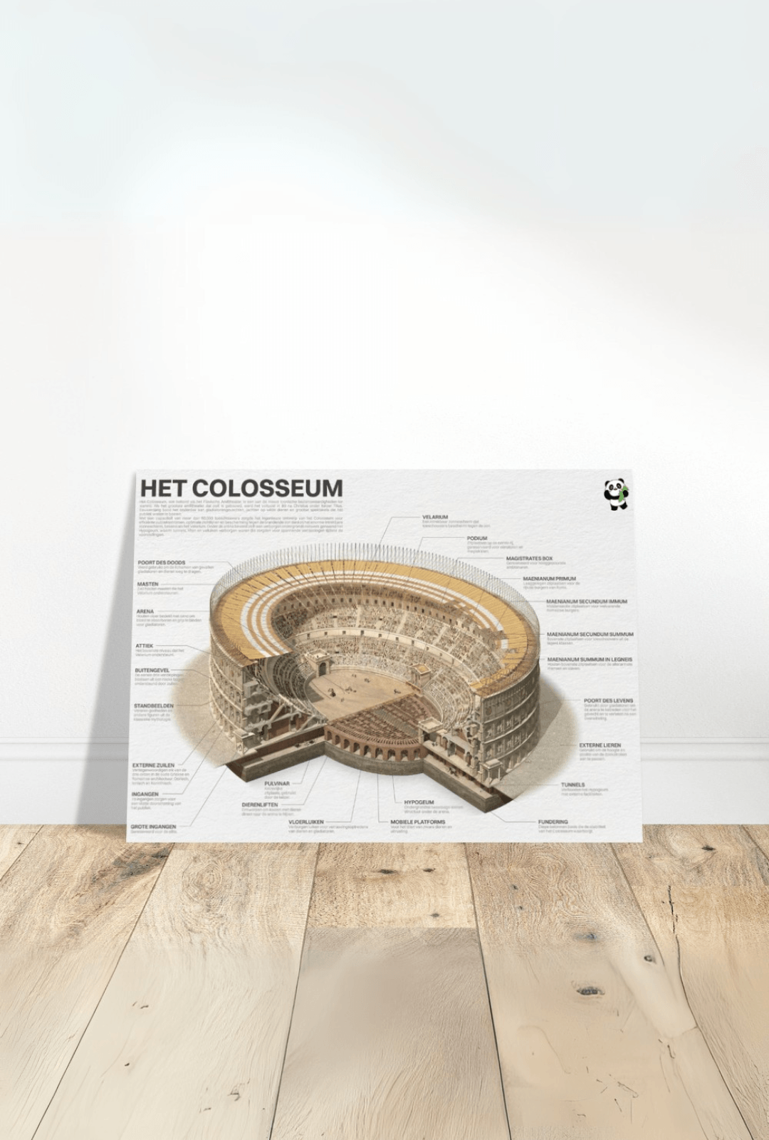 Colosseum Poster - Academia Now - Schoolspullen voor de middelbare school, schoolplanner, agenda, notitieboek, flashcards, Stabilo- en Oxford schoolspullen voor beter plannen en leren - Hard Work Beats Talent