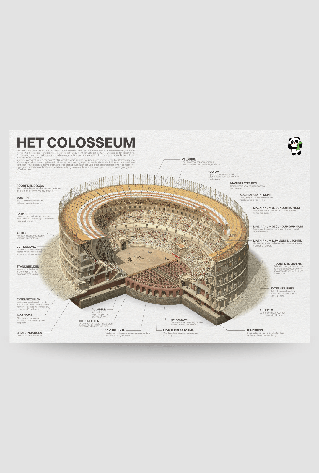 Colosseum Poster - Academia Now - Schoolspullen voor de middelbare school, schoolplanner, agenda, notitieboek, flashcards, Stabilo- en Oxford schoolspullen voor beter plannen en leren - Hard Work Beats Talent